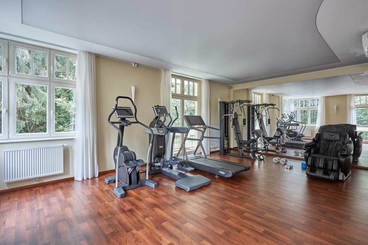 Dionysus Apartment Karlovy Vary